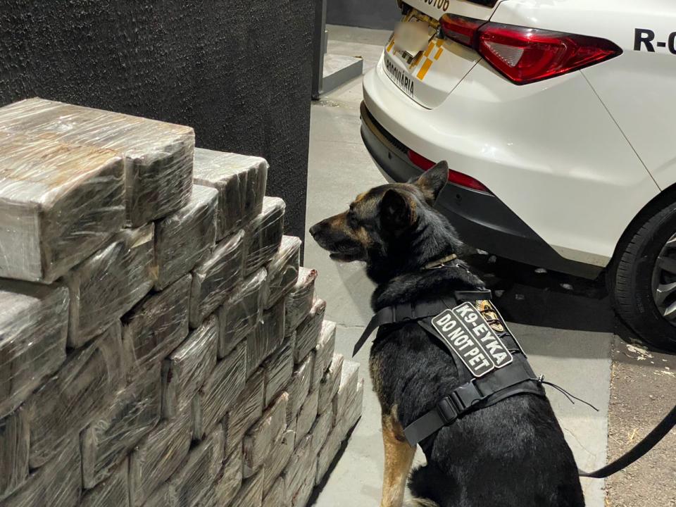 Foto 4 de 4 — Prisão: 250 kg de maconha são apreendidas em rodovia da região